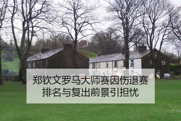 郑钦文罗马大师赛因伤退赛 排名与复出前景引担忧